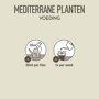 Pokon Mediterrane Planten Voeding Vloeibaar instructie